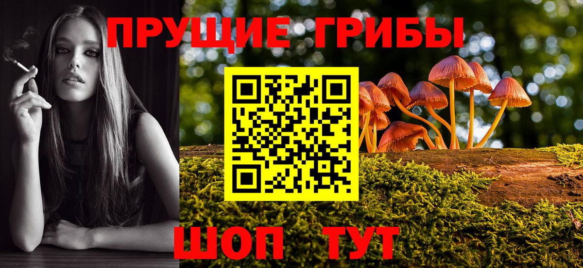 Красноармейск  Псилоцибиновые грибы Magic Shrooms  Вход с VPN 